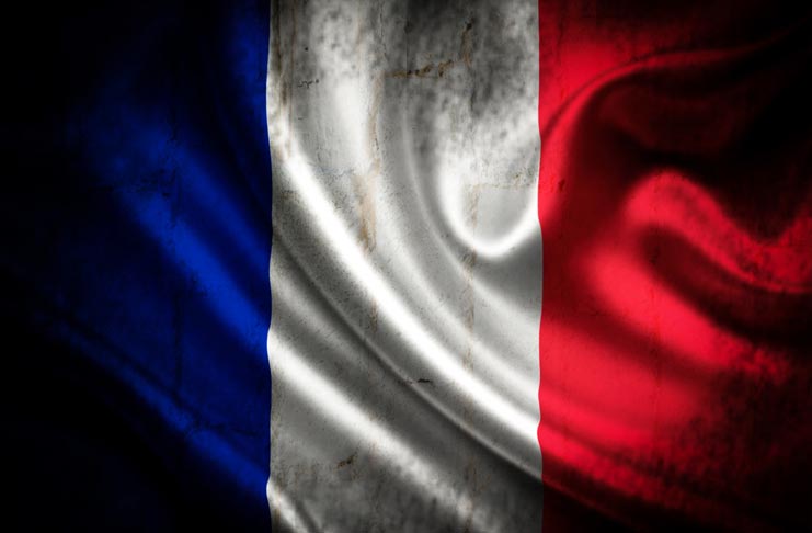 why learn french